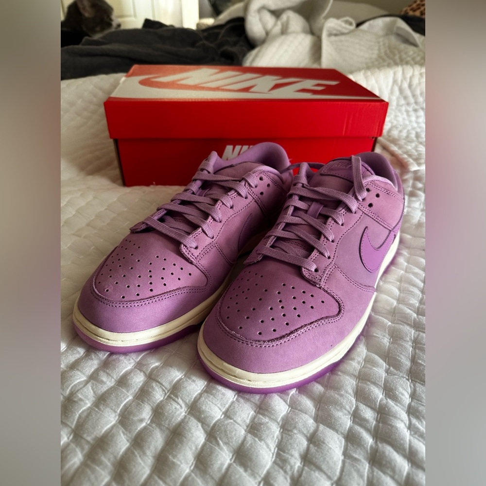Women’s Nike Dunk Shoes Size 9.5
